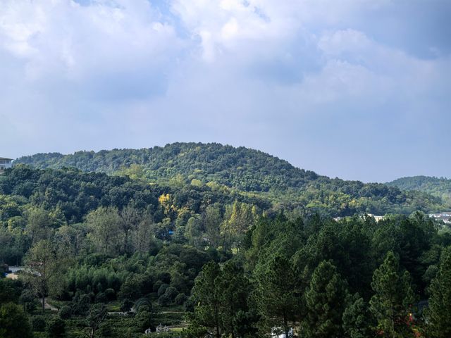 龍河口水庫。