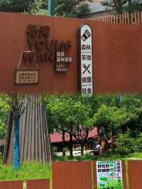 自在向山野，如仙境般的世界。
