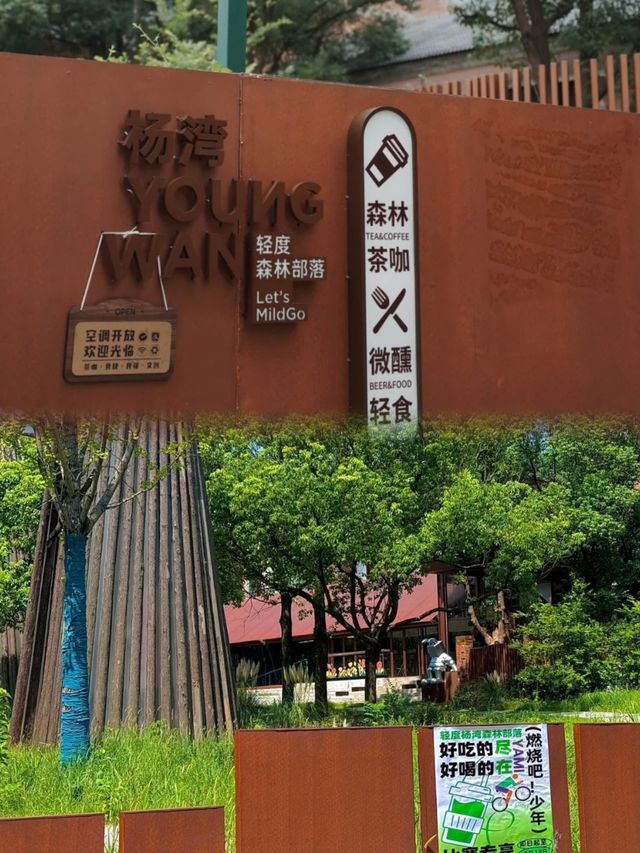 自在向山野，如仙境般的世界。
