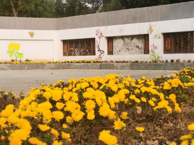 廊坊｜燕郊植物園。