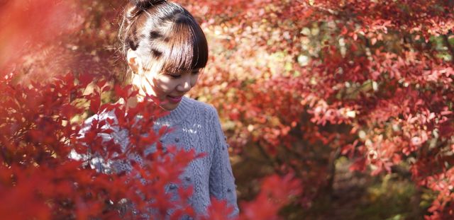 東京河口湖富士山賞紅葉全攻略。