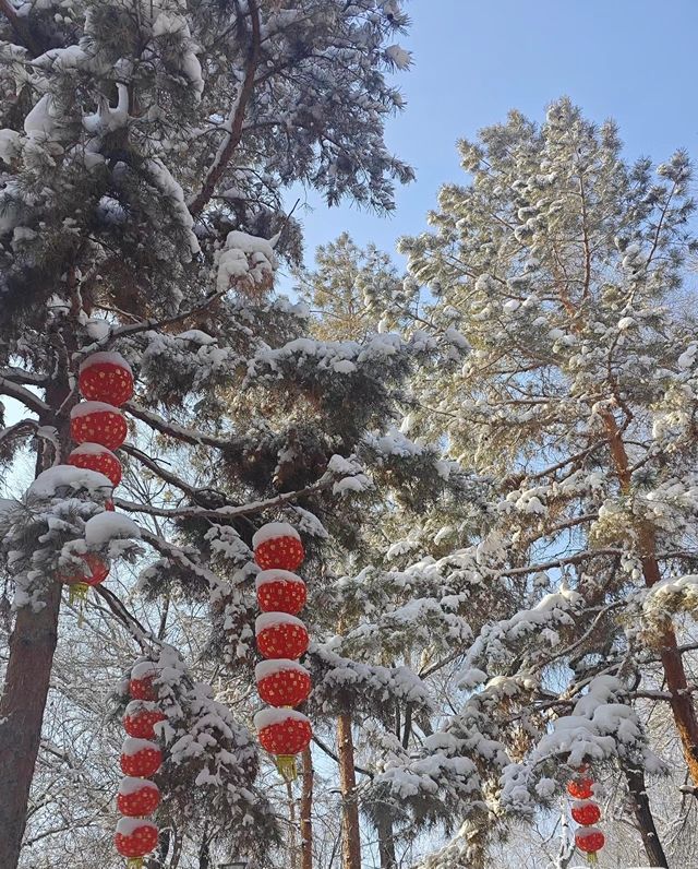 烏魯木齊賞雪，總結了這份保姆級攻略。