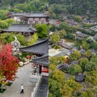 冬天的旅行清單：11月必訪的5大魅力城市。