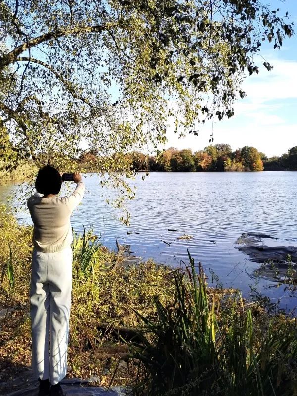 Experience the Vibrant Fall Foliage in New York City via Subway