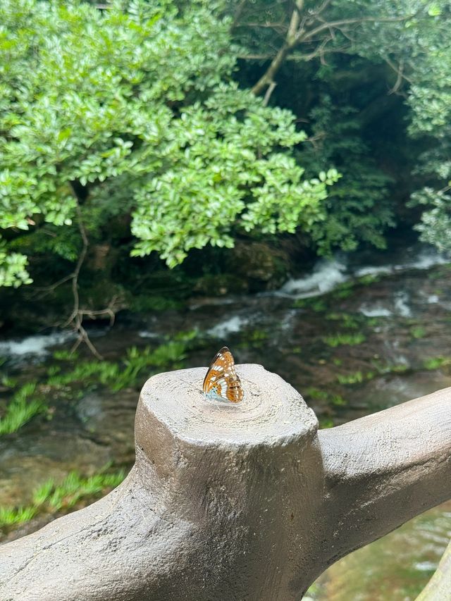2日秋遊溫州超全攻略速覽。