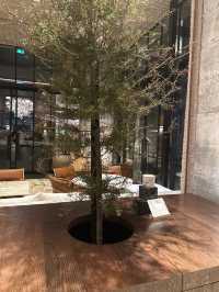 The Hotel Britomart | 奢華又寧靜的城市綠洲  酒店：The Hotel Br。