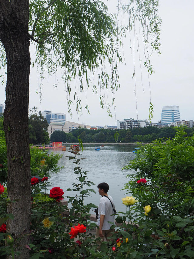 福建福州西湖公園 ｜ 探索「福建園林明珠」之美。