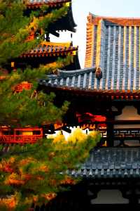 奈良法隆寺。