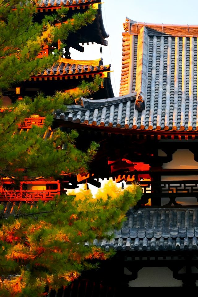 奈良法隆寺。