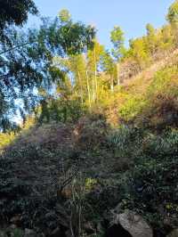 《神龍潭瀑布：探秘自然奇境，暢享山水逸趣之旅》。