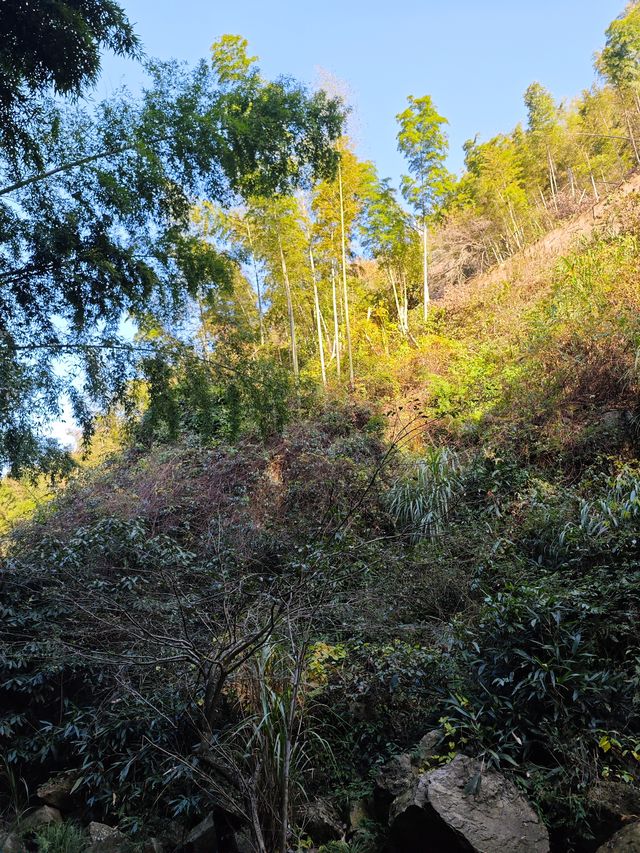 《神龍潭瀑布：探秘自然奇境，暢享山水逸趣之旅》。