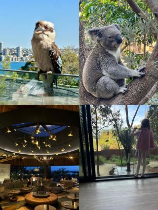 Taronga Eco Retreat | Taronga Eco Retreat    Hotel: Taronga Eco Retreat