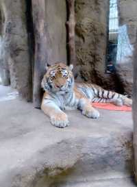 薩爾布呂肯：動物園