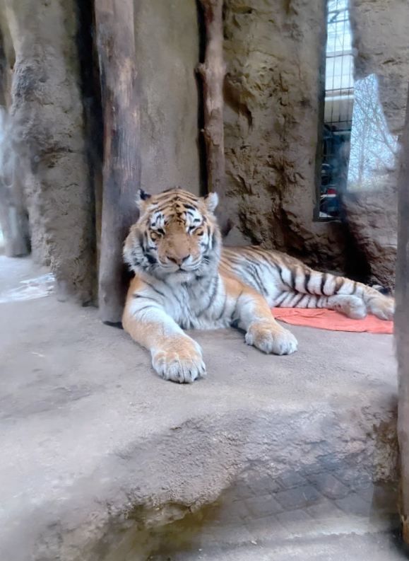 薩爾布呂肯：動物園