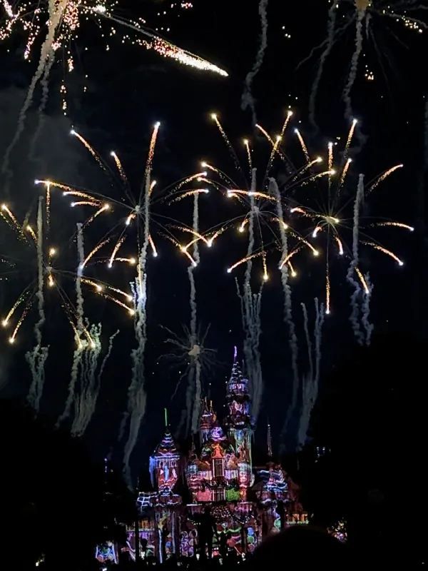 Disneyland🎄
