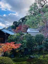 日本·京都嵐山二尊院