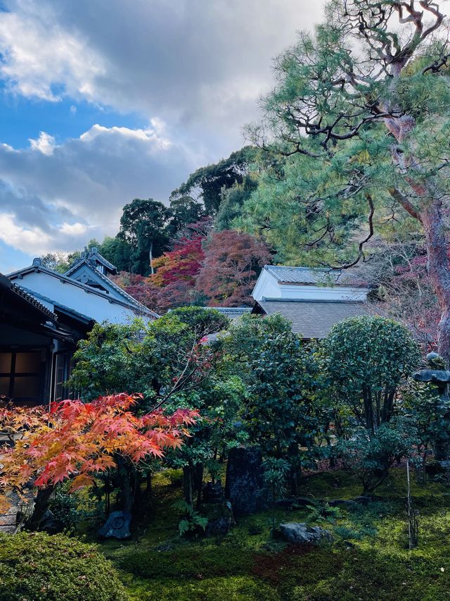 日本·京都嵐山二尊院