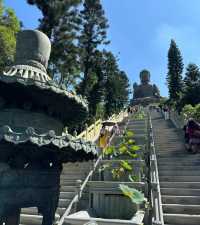 大嶼山風景區避雷指南：不再被套路，旅行者的福音！