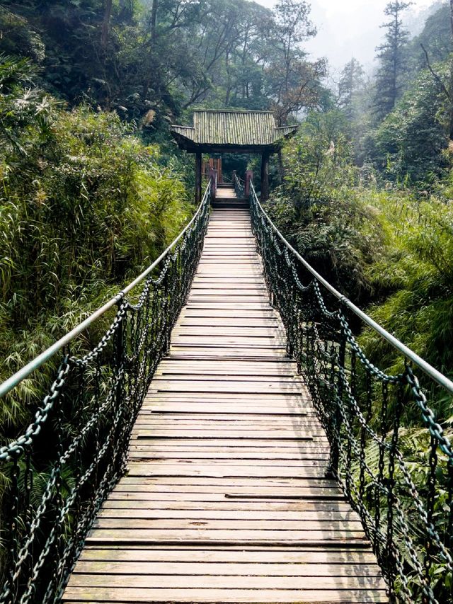 峨眉山2日遊 老友出行理想攻略 峨眉山2日遊 老友出行理想攻略