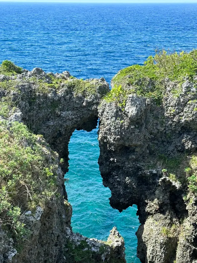 6-Day Japan Tour: Super Practical Guide Revealed