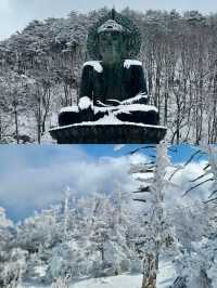 姊妹們來平昌郡喜歡看雪的必備攻略