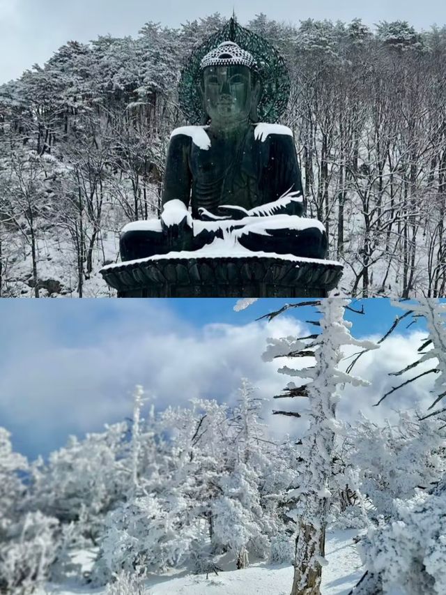 姊妹們來平昌郡喜歡看雪的必備攻略