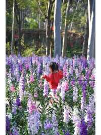 記憶中的忠綸公園花海，真的從來就沒輸過！