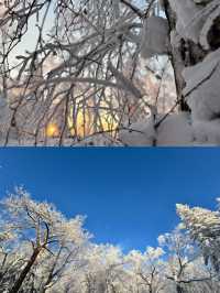 冰雪畫廊太美啦˃̶͈˂