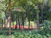 廣西北海市的中山公園