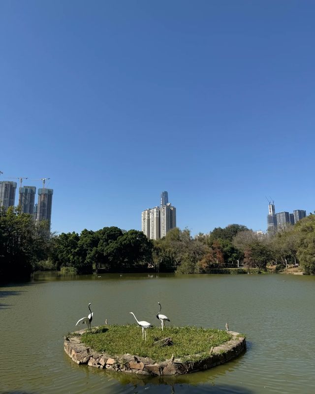 人民公園：邂逅愜意，暢享休閒時光