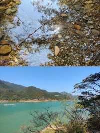 肇慶 虎坑村攻略