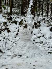 成都周邊一個小時就能到達這個玩雪聖地！