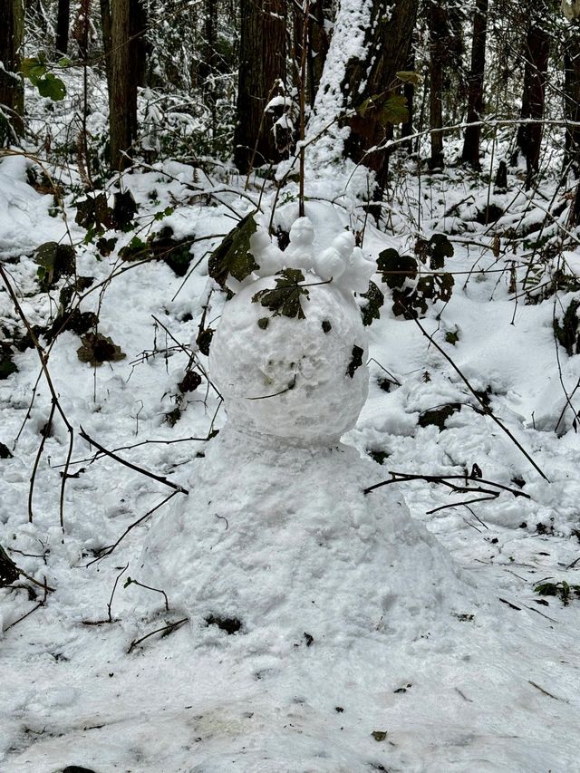 成都周邊一個小時就能到達這個玩雪聖地！