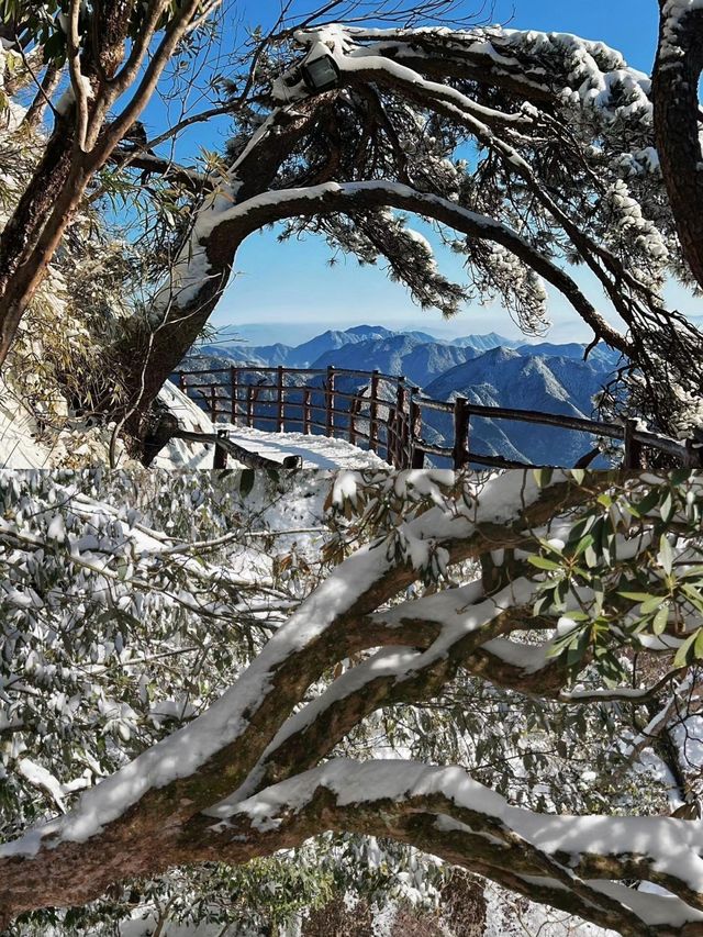 郴州莽山賞雪超全攻略