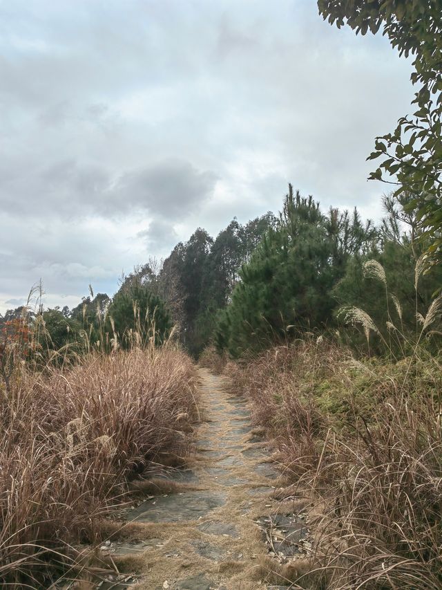 歷史的見證，千年滄桑古道