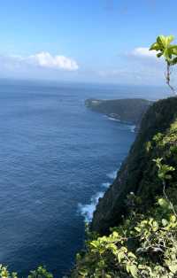 佩尼達島浮潛 | 是好多魚圍繞在身邊