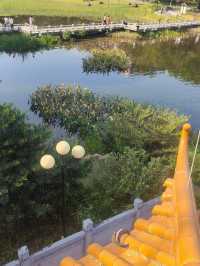 蛇年添喜慶一一東山湖公園！