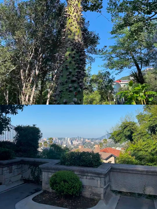 蛇年奇遇蒙特雷 | 墨西哥寶藏城市全攻略