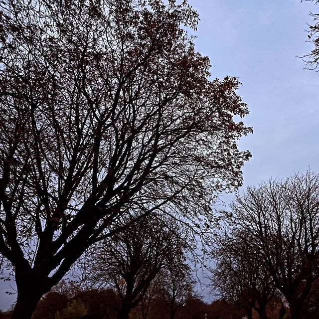 探秘阿爾伯特公園：米德爾斯堡的自然秘語