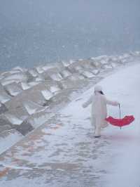 大連｜海邊雪景美翻了！附攻略！