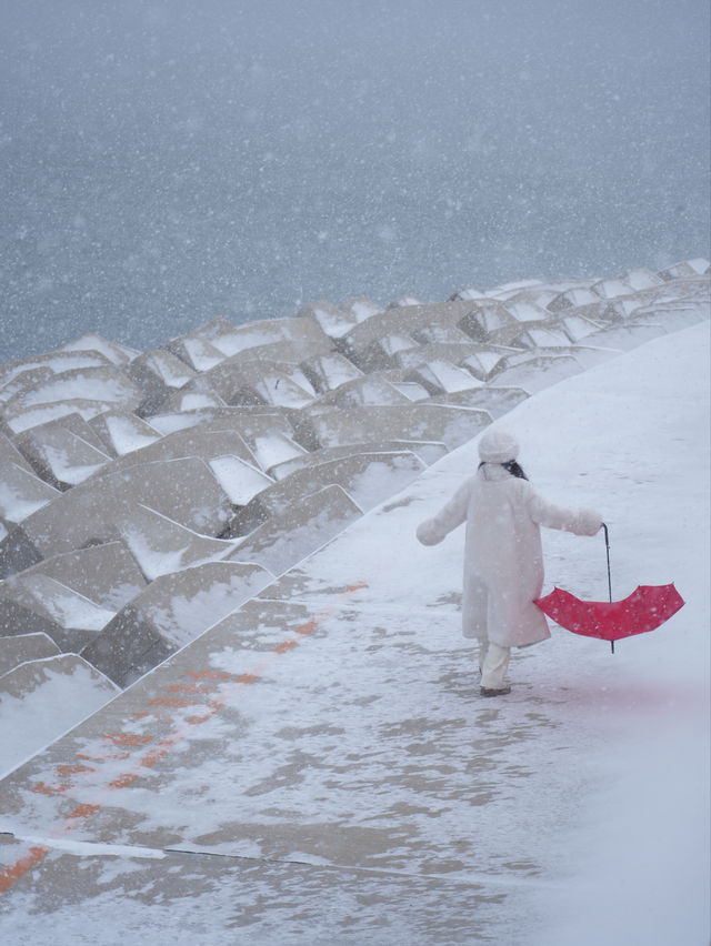 大連｜海邊雪景美翻了！附攻略！
