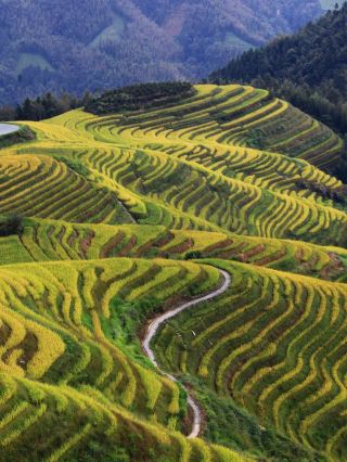 2-Day Longsheng Winter Vacation Itinerary: The Ultimate Guide