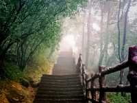 First Line Explorers: Deep Dive Into Hunan Forest "Underleaf" World