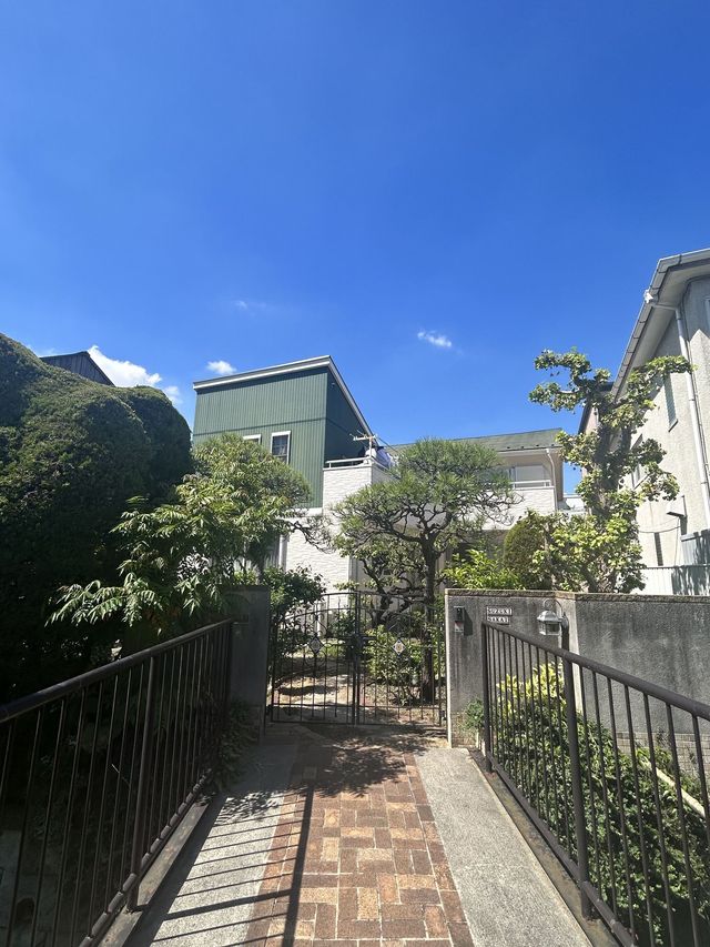 8天暢遊日本 超詳細攻略帶你玩轉全境