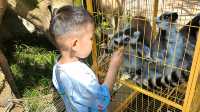 【南通森迪】住在動物園裏，來了就不想回家