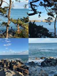 蔚山：韓半島的多元魅力密碼