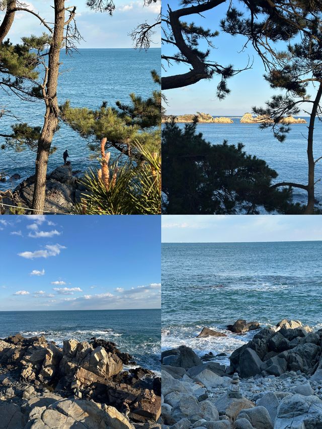 蔚山：韓半島的多元魅力密碼