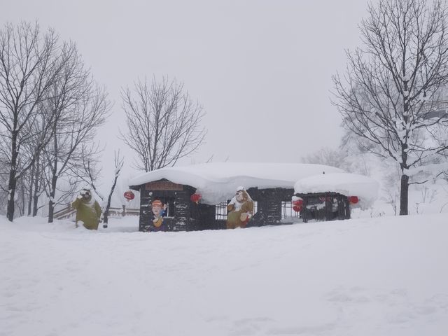中國雪鄉的魔幻狗熊嶺