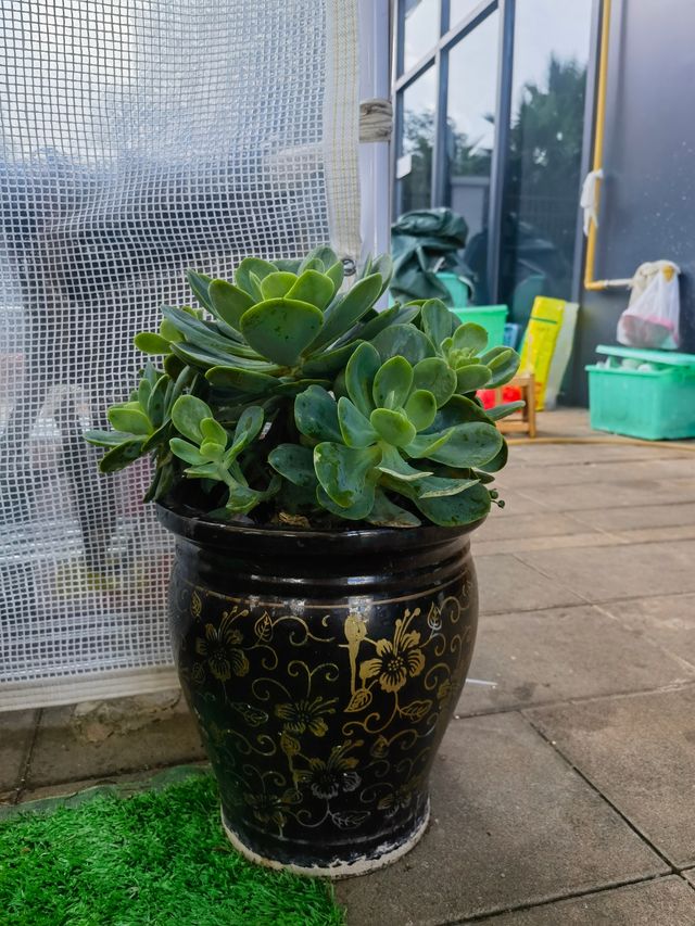 亞洲 22日精華路線遊