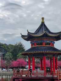 東華禪寺不來就可惜的免費絕美寺廟